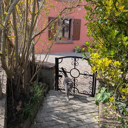 Maison Mycelia * Buhl