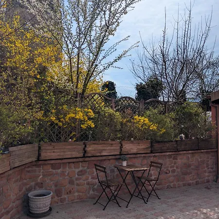 Maison Mycelia דירה Buhl