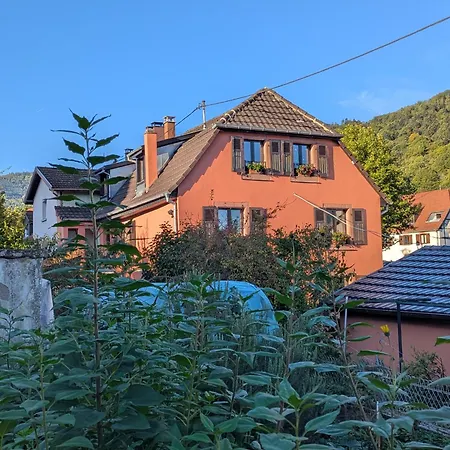 Maison Mycelia