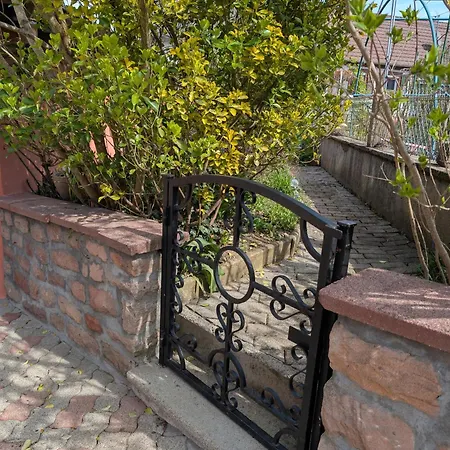 Maison Mycelia * Buhl