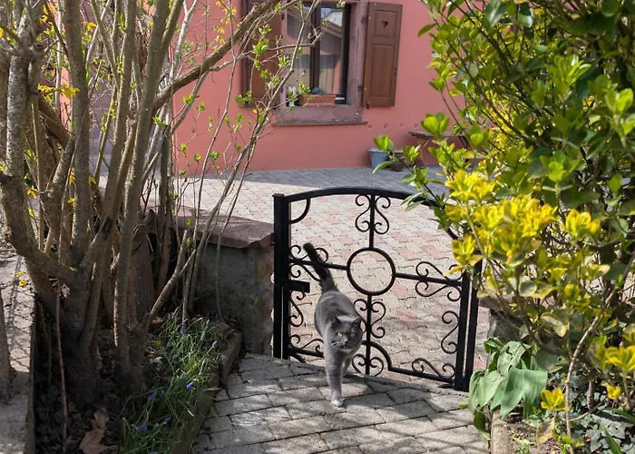 Maison Mycelia * Buhl