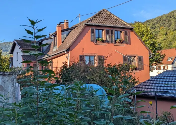 Maison Mycelia